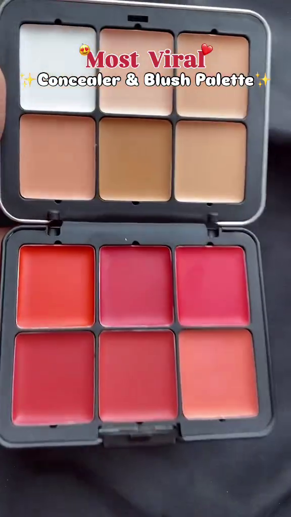 All-in-One Professional Concealer and Cream Blush Palette with Multiple Skin Tone Shades and Vibrant Blush Colors for Seamless Coverage and Radiant Finish